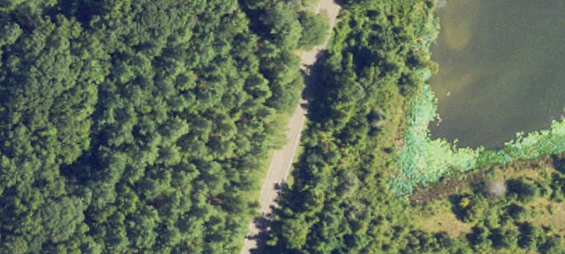 Land for Sale in Terry