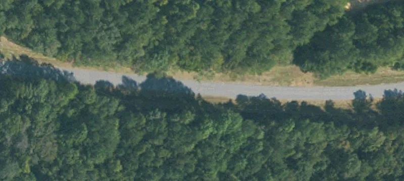 88.6 Acres in Choctaw County