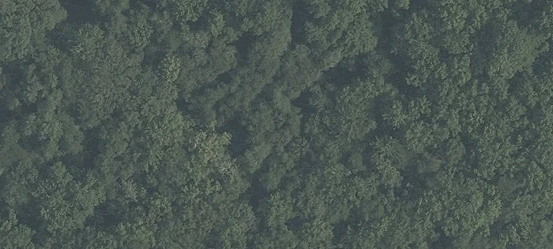 Land Opportunity Near Wawa Development