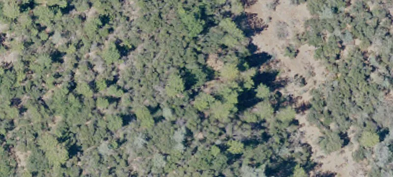 Land Near Collins Lake