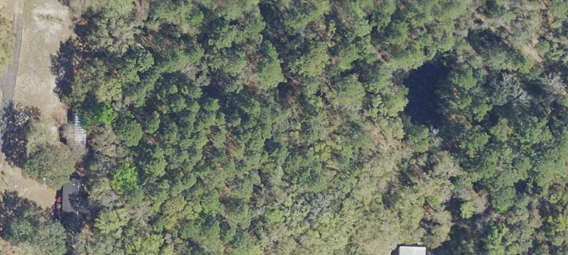 9-Acre Commercial Land Parcel