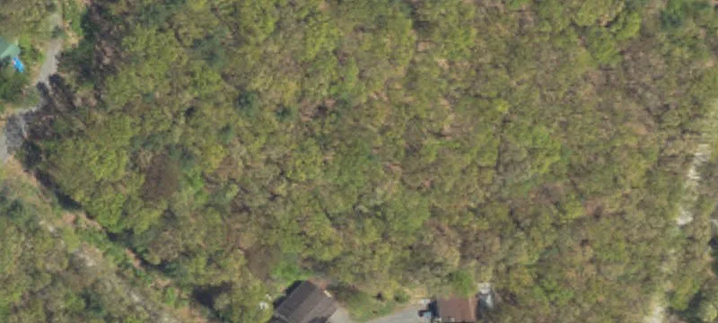 Woodland-Zoned Land Near Bald Eagle