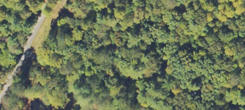 Land Bordering National Forest