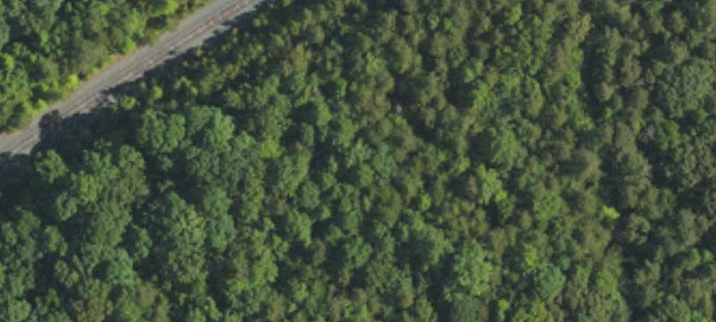 Land for Lease or Build