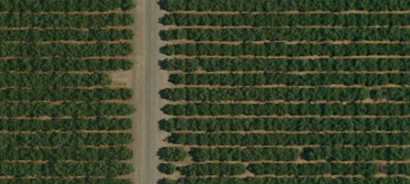 Productive Orchard and Farmland Opportunity