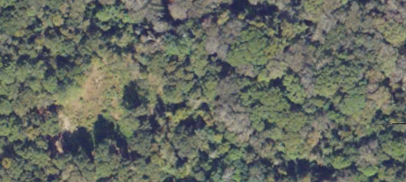 42.48 Acre Land Tract