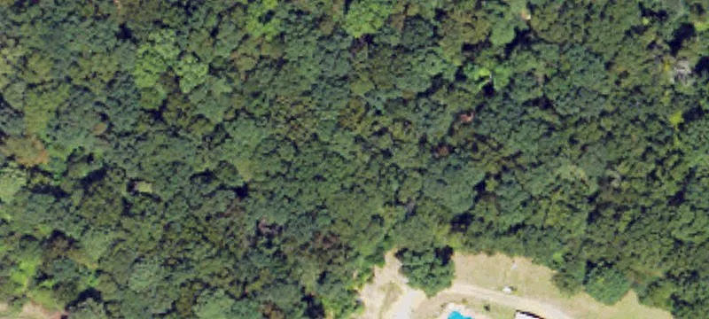 Poultry Farm on 90 Acres