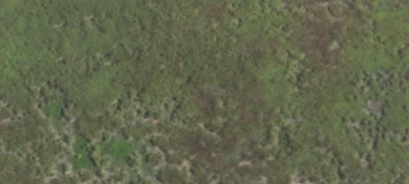 Land Near International Bridges