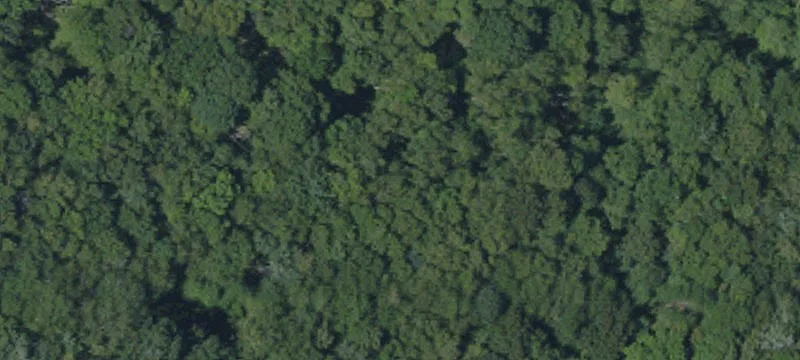 Residential Land For Rent