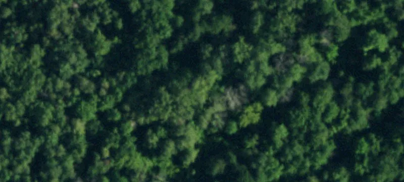 Vacant Land on Walden Avenue