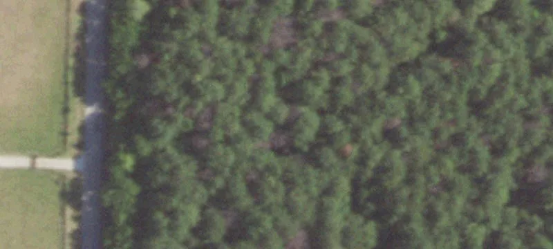 Land For Lease I-20 Frontage