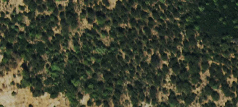 440 Acre Hunting & Recreation Land