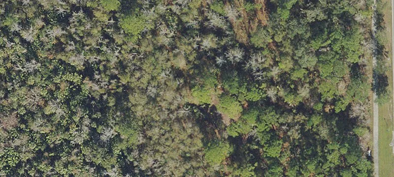 Land For Sale in Oviedo