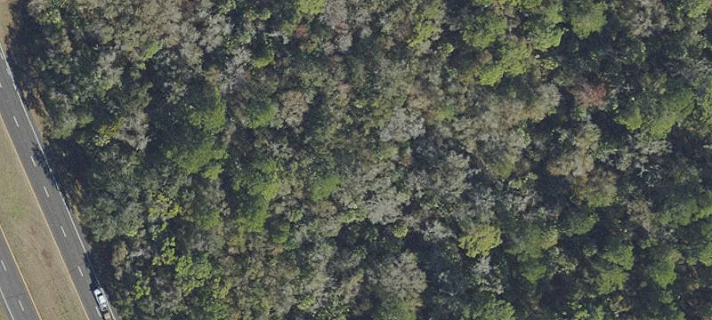 Crystal River Land Parcel