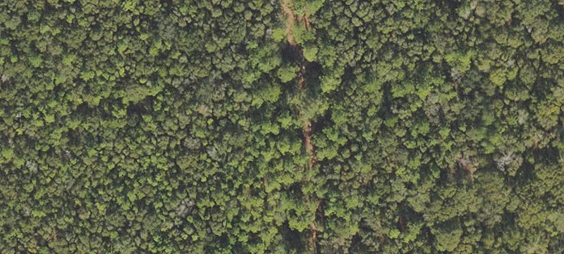 Land For Sale Holt