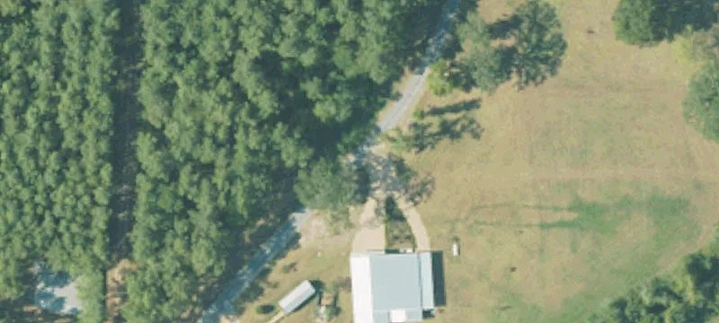 1250 Acres Timberland Hunting Paradise