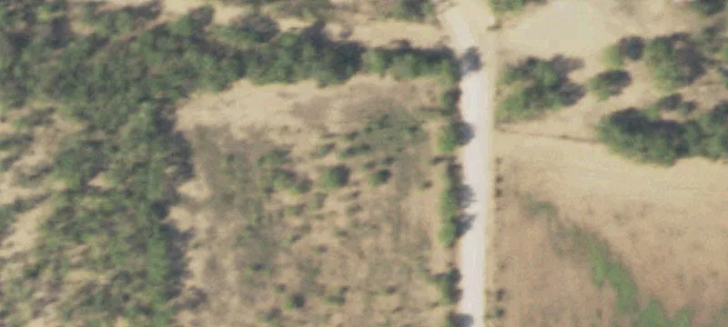 211 Acres of Pastureland