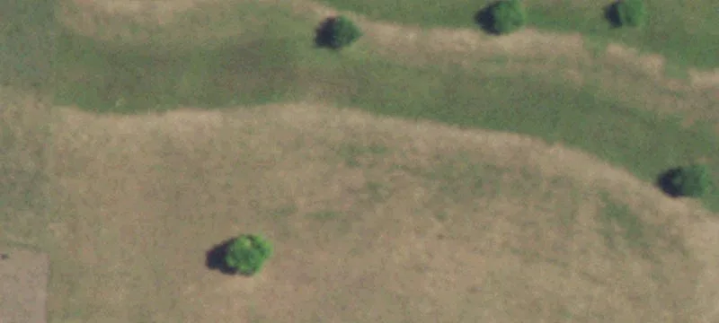 Cleared Land with Road Frontage