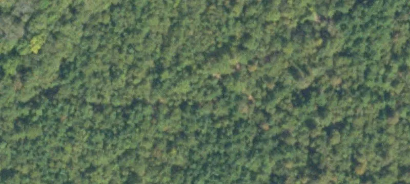 60 Acres on Tobacco Road