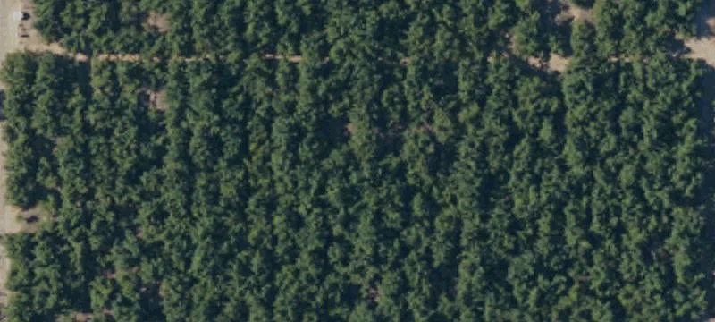 Kingsburg Land For Sale