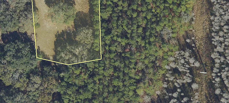 Commercial Land in Wesley Chapel