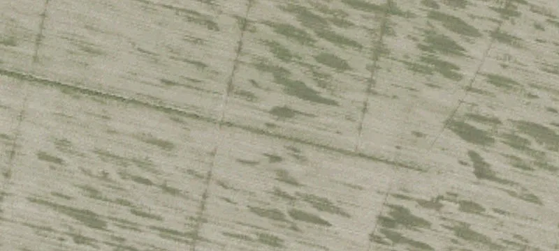 Prime Commercial Land in Edenton