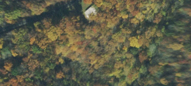 Wooded Land Near Dale Hollow