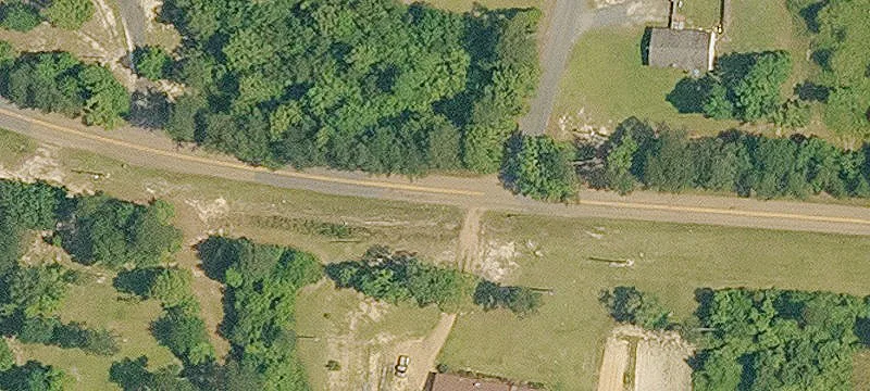 Pine Plantation Investment Opportunity