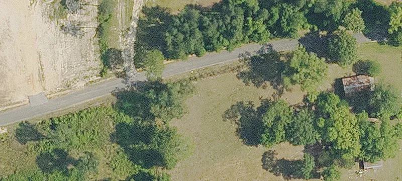 Managed Timberland Investment Tract