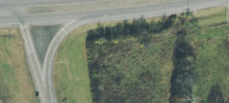 Land For Sale Whites Creek