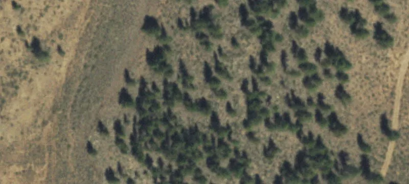 Arrowhead Alpine Ranch Land