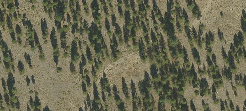 Land for Sale La Pine