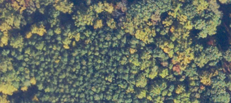 315 Acres of RA Land