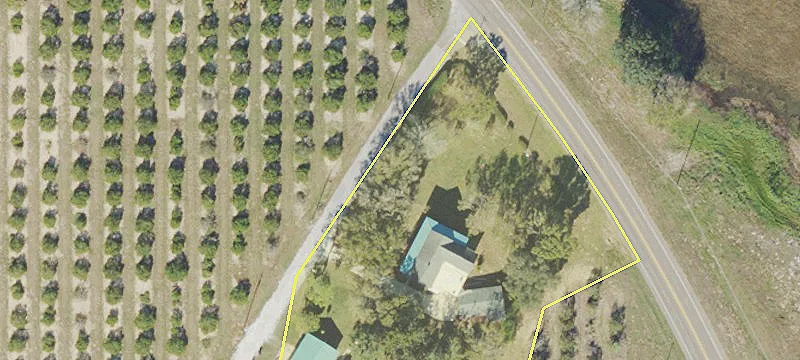 9.32 Acre Citrus Grove