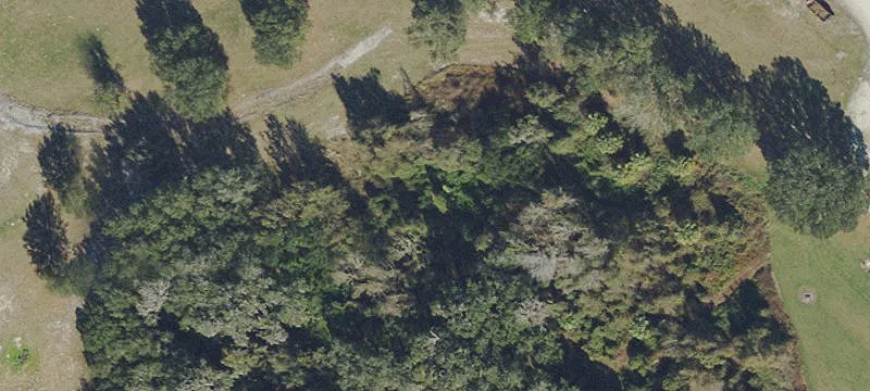 Lakeland Land Investment Opportunity