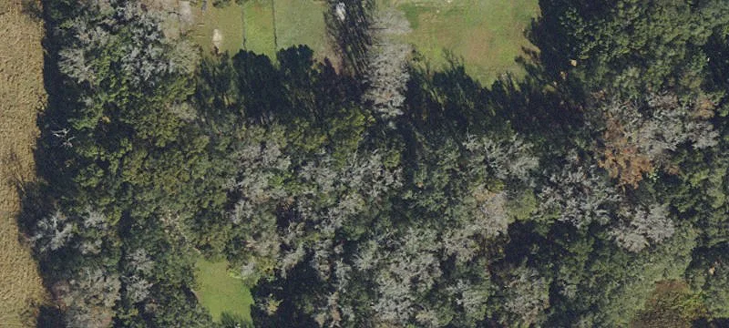 Commercial Land Ready For Development