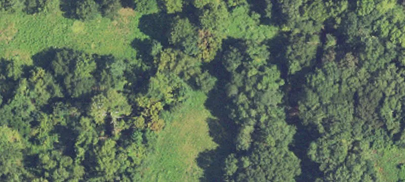 160-Acre Mississippi Estate