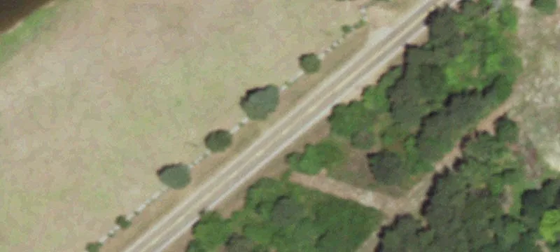 35 Acres of Raw Timberland