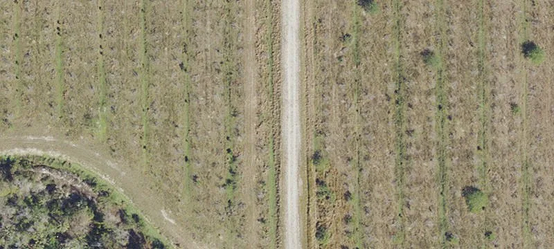 Land for Lease in Estero