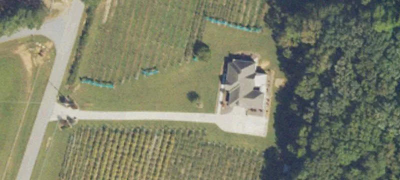 Award-Winning Vineyard and Winery