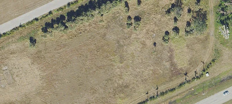 Vacant Land on Pine Island