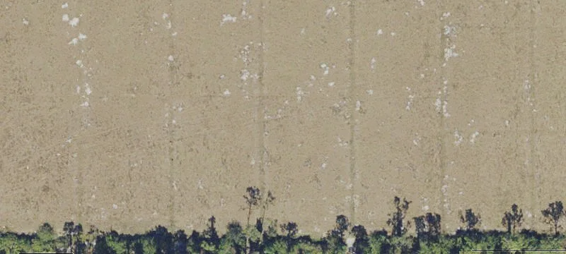 Land Near Gulf Coast Center