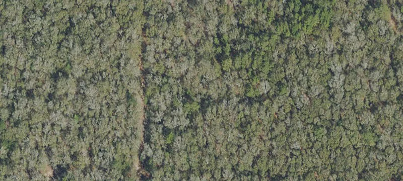 Development Site in Growing Crestview