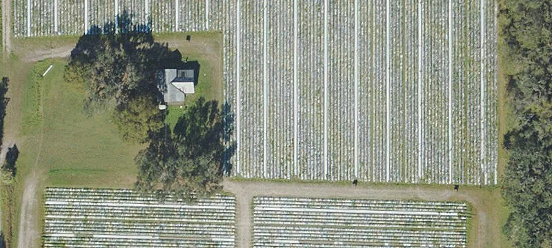 Plant City Development Opportunity