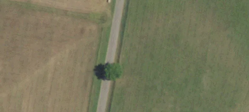Land For Sale Gordonville, TX