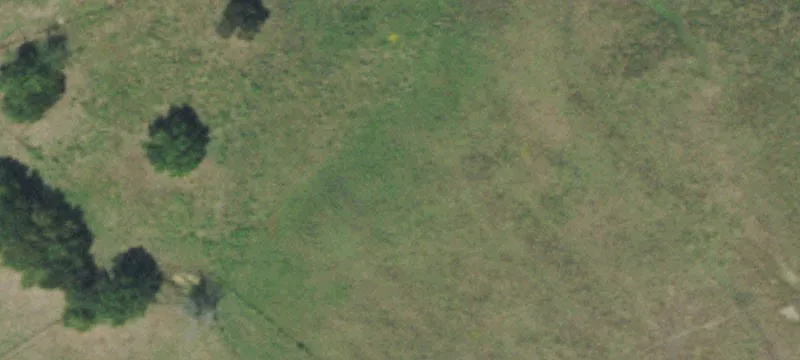 Productive Ranch with Quality Pasture