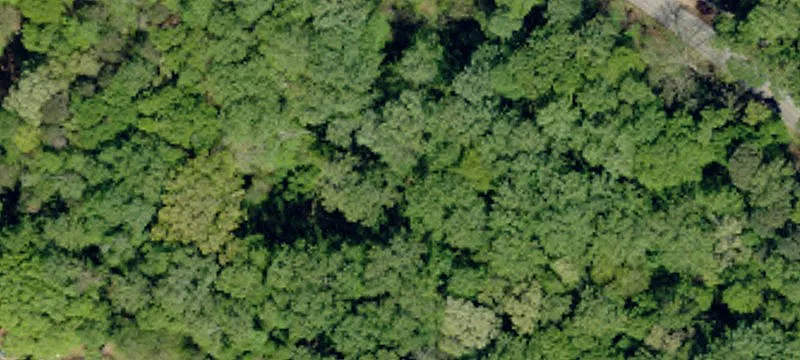 Cowpens Land Investment Opportunity