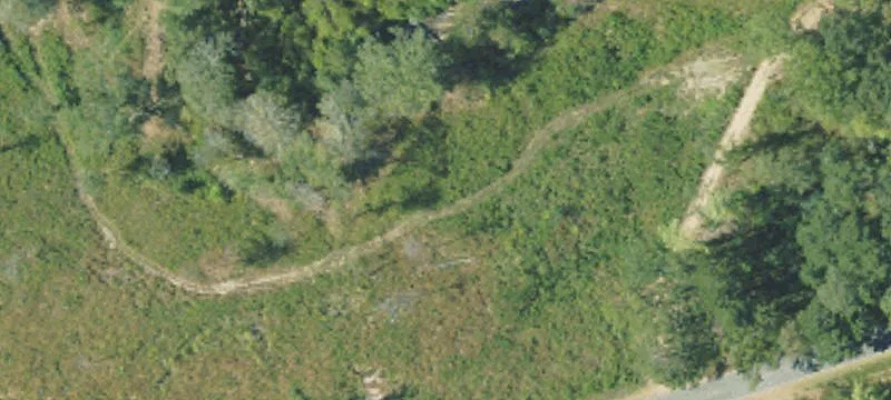 Bogue Chitto Riverfront Hunting Land