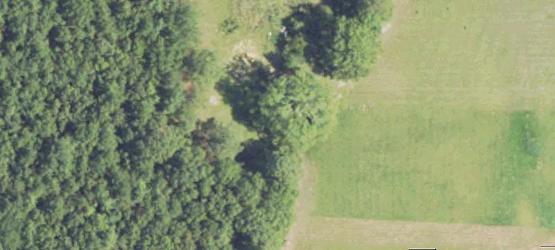 Rankin County Pastureland For Sale