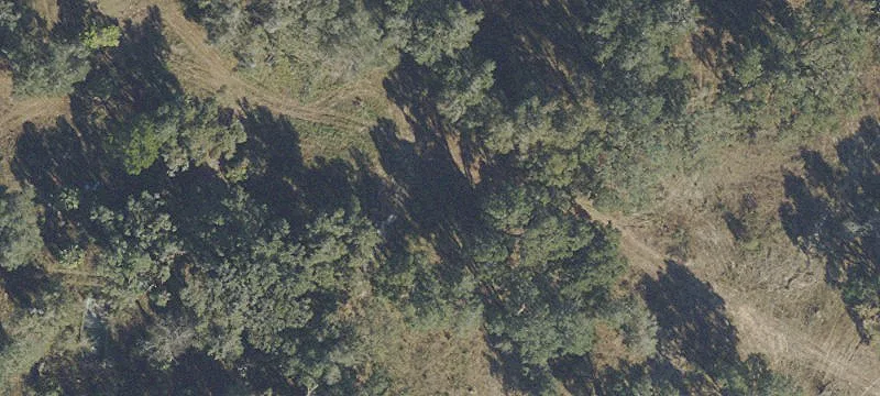 Marion Ranch Commercial Land
